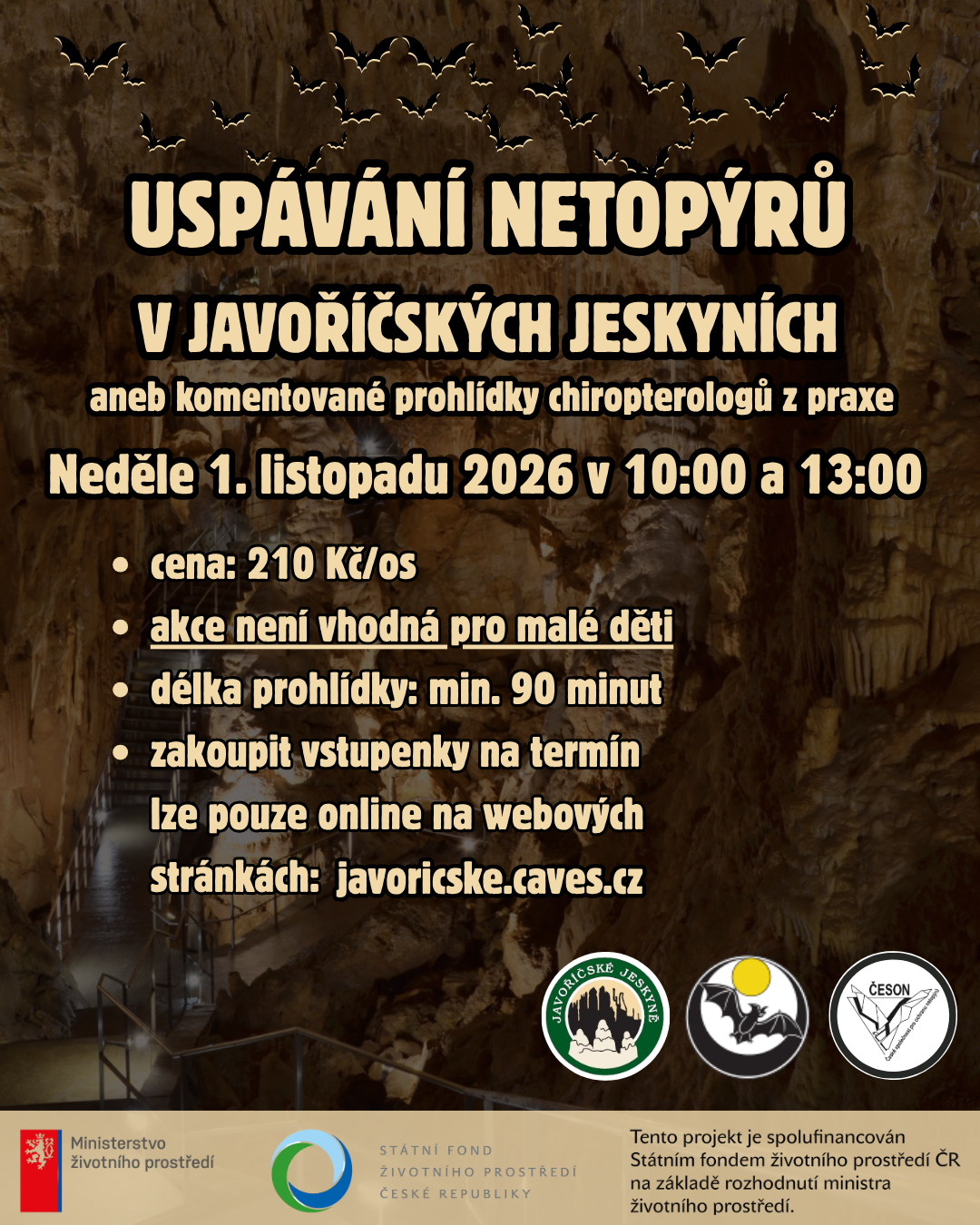 Uspávání netopýrů v Javoříčských jeskyních, 2026