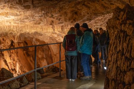 Uspávání netopýrů v Javoříčských jeskyních, 2025