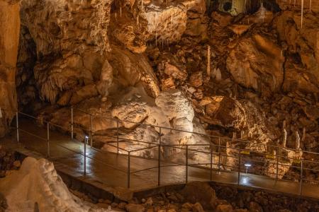 Uspávání netopýrů v Javoříčských jeskyních, 2025