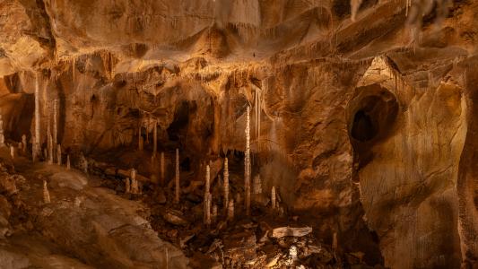 Uspávání netopýrů v Javoříčských jeskyních, 2025