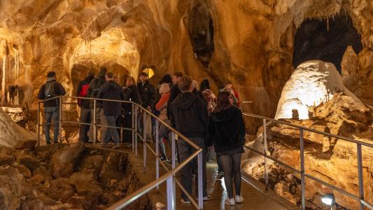 Uspávání netopýrů v Javoříčských jeskyních, 2025