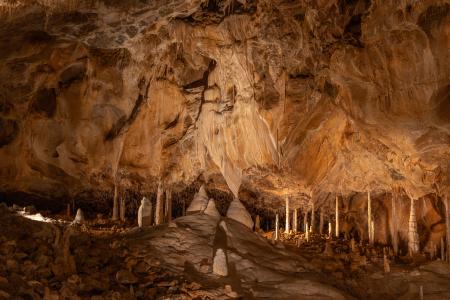 Uspávání netopýrů v Javoříčských jeskyních, 2025