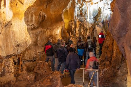 Uspávání netopýrů v Javoříčských jeskyních, 2025