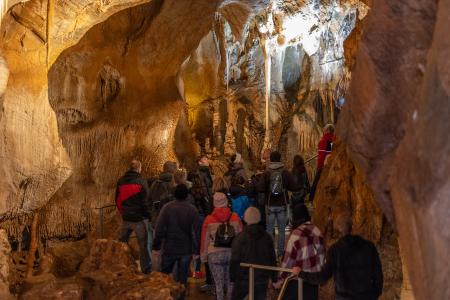 Uspávání netopýrů v Javoříčských jeskyních, 2025