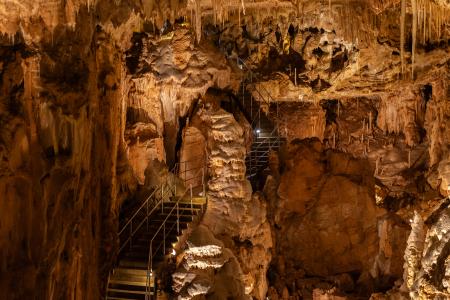 Uspávání netopýrů v Javoříčských jeskyních, 2025