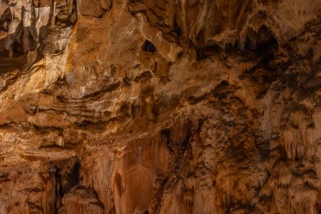 Uspávání netopýrů v Javoříčských jeskyních, 2025